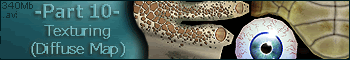 turtle_10_texturing.gif