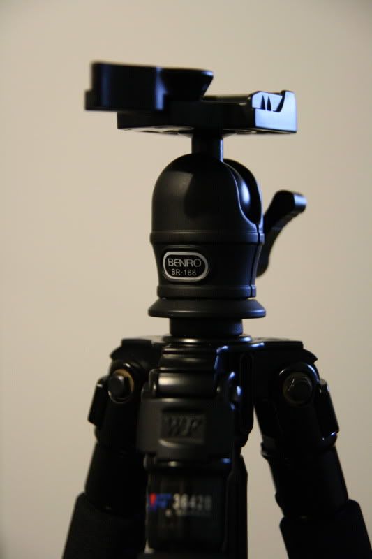 IMAGE: http://i96.photobucket.com/albums/l163/johnj2803/IMG_0025.jpg