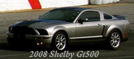Shelby6.jpg