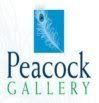 The Peacock Art Gallery, Upton House, Poole