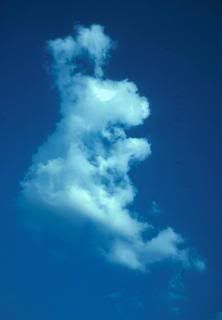 cloud bunny