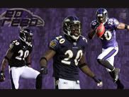 Ed Reed Wallpaper