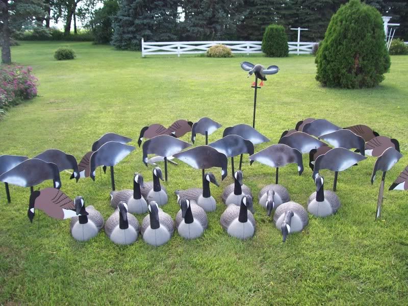 41 goose decoys for sale 41 goose decoys for sale