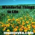Wonderful Things In Life