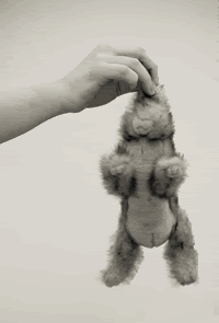 A prop rabbit being held by its ears