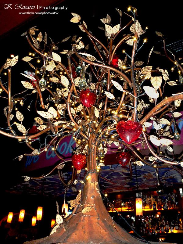 IMAGE: http://i96.photobucket.com/albums/l167/tatigirl34/lovetree.jpg