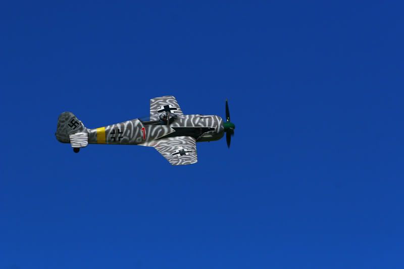 IMAGE: http://i96.photobucket.com/albums/l169/ozimax/Fw190a.jpg
