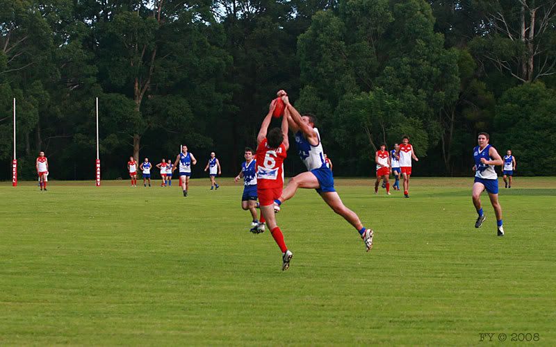 IMAGE: http://i96.photobucket.com/albums/l169/ozimax/Swans2.jpg