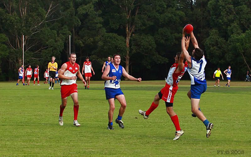 IMAGE: http://i96.photobucket.com/albums/l169/ozimax/Swans3.jpg