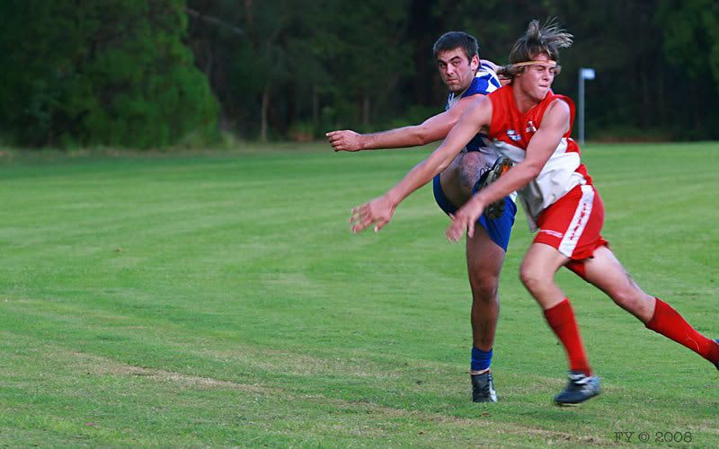 IMAGE: http://i96.photobucket.com/albums/l169/ozimax/Swans4.jpg