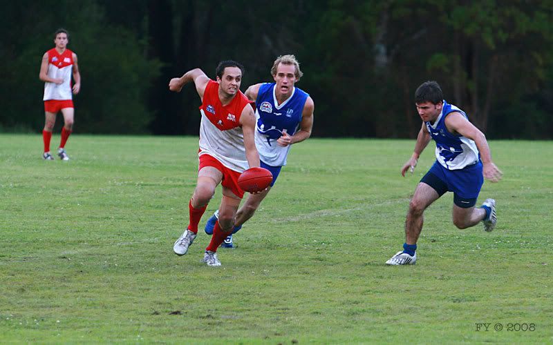 IMAGE: http://i96.photobucket.com/albums/l169/ozimax/Swans5.jpg