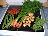 th_fruitnveg.jpg
