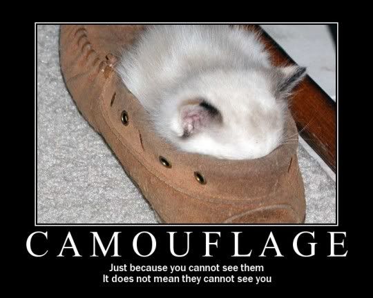 camouflage1.jpg