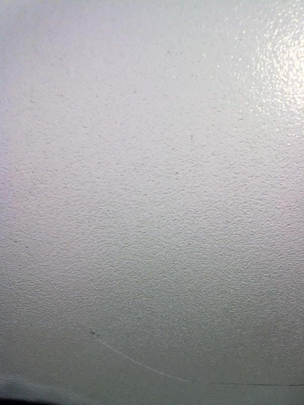 Today, it was so cold that... - Goats