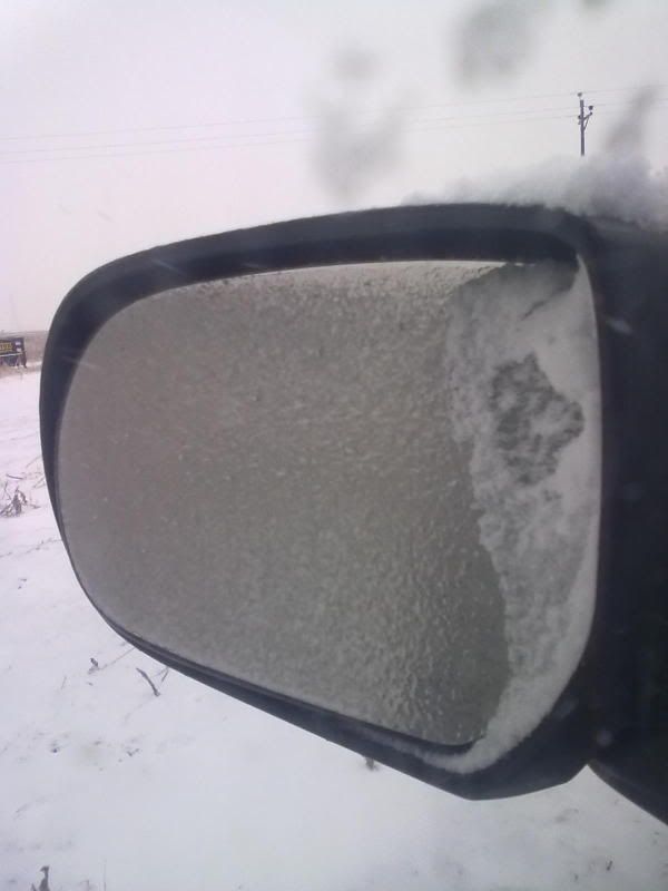 Today, it was so cold that... - Goats