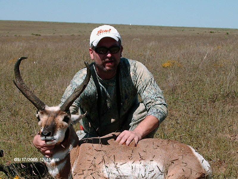 NMPronghorn004.jpg