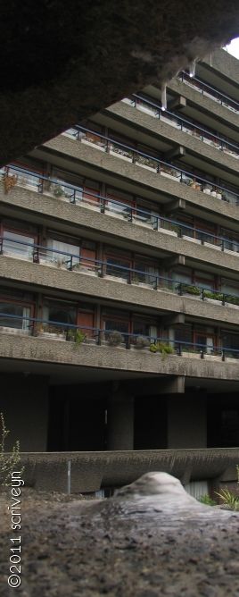 IMAGE: http://i96.photobucket.com/albums/l175/jazzscriveyn/POTN/potn_IMG_14290.jpg