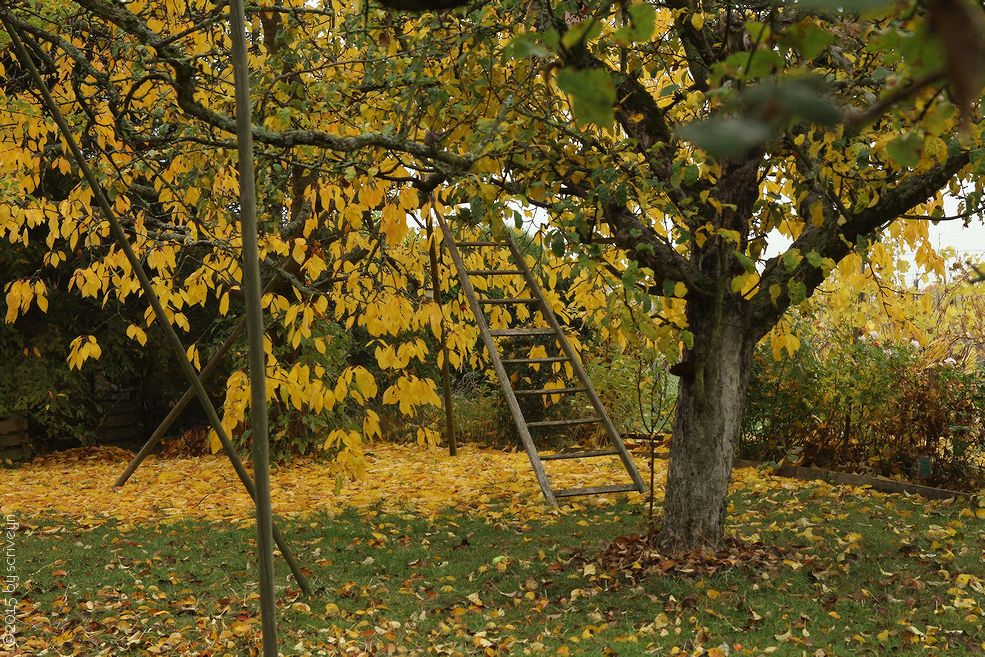 IMAGE: http://i96.photobucket.com/albums/l175/jazzscriveyn/POTN/scr_6106_POTN_hitiio8.jpg~original