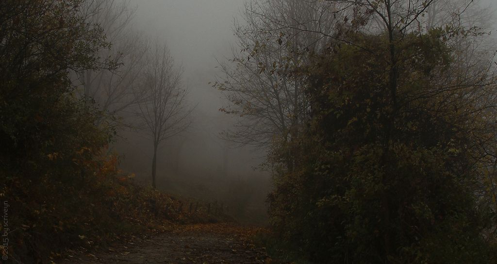 IMAGE: http://i96.photobucket.com/albums/l175/jazzscriveyn/POTN/scr_6142_POTN_k93gic.jpg~original