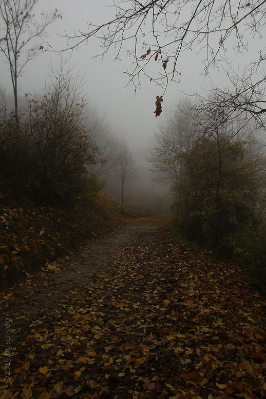 IMAGE: http://i96.photobucket.com/albums/l175/jazzscriveyn/POTN/scr_6143_POTN_j985zuo.jpg~original