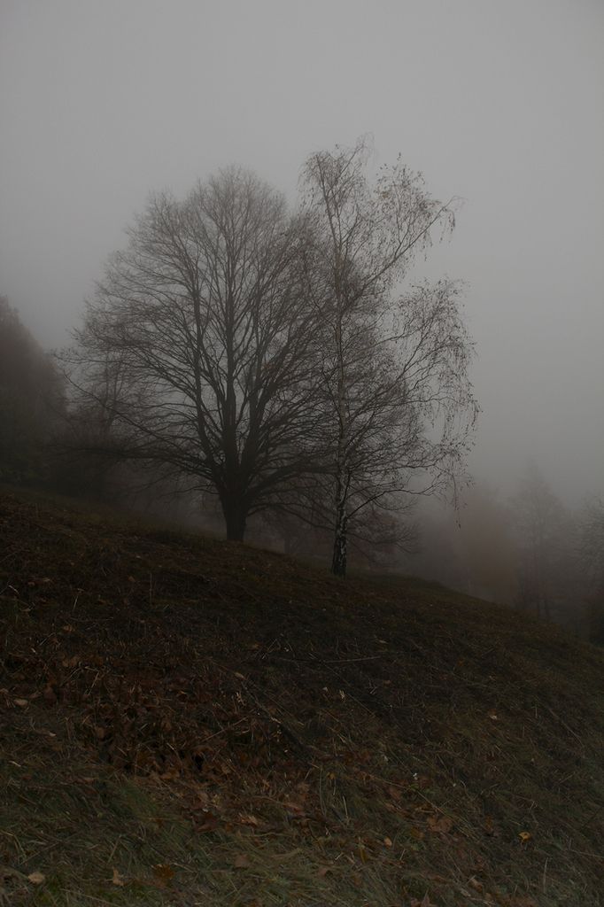 IMAGE: http://i96.photobucket.com/albums/l175/jazzscriveyn/POTN/scr_6144_POTN_pmgfsa6.jpg~original