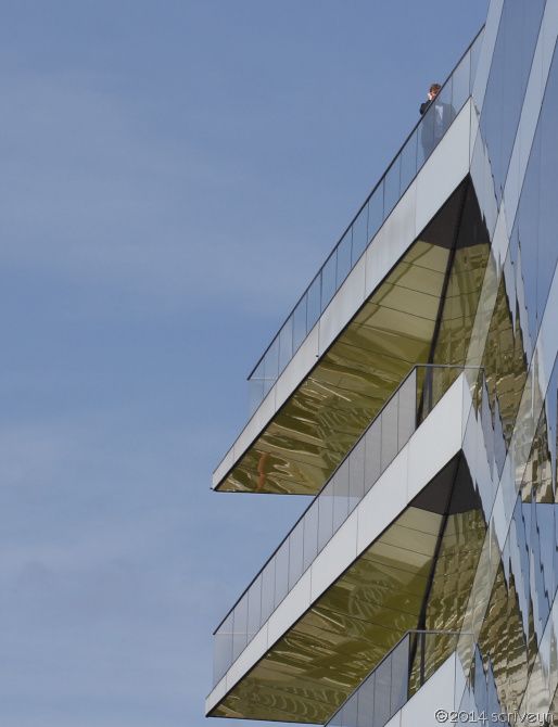 IMAGE: http://i96.photobucket.com/albums/l175/jazzscriveyn/POTN/scr_8577_POTN_web.jpg