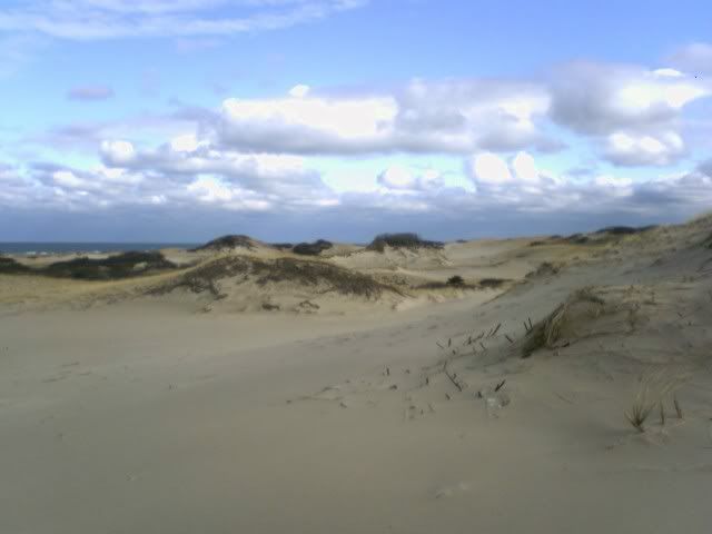 Sandy Neck Beach
