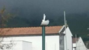 Atos de vandalismo no parque de lazer da Feteira