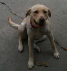 Brianna smiling, seated photo Brianna_concrete_zps163f7bac.jpg