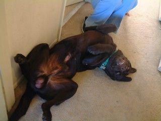 Upside-down photo Corbin_5-rs_zpsd21b6798.jpg