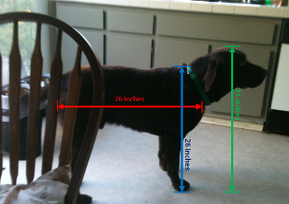  photo Corbin_measurements-rs_zps47d8904c.png