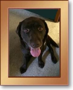  photo frame-shadows-cr_zps4105c687.jpg