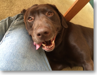  photo smile_lean_on_lap-cr_zpsf71af848.png