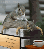 thsquirrelmassage.gif