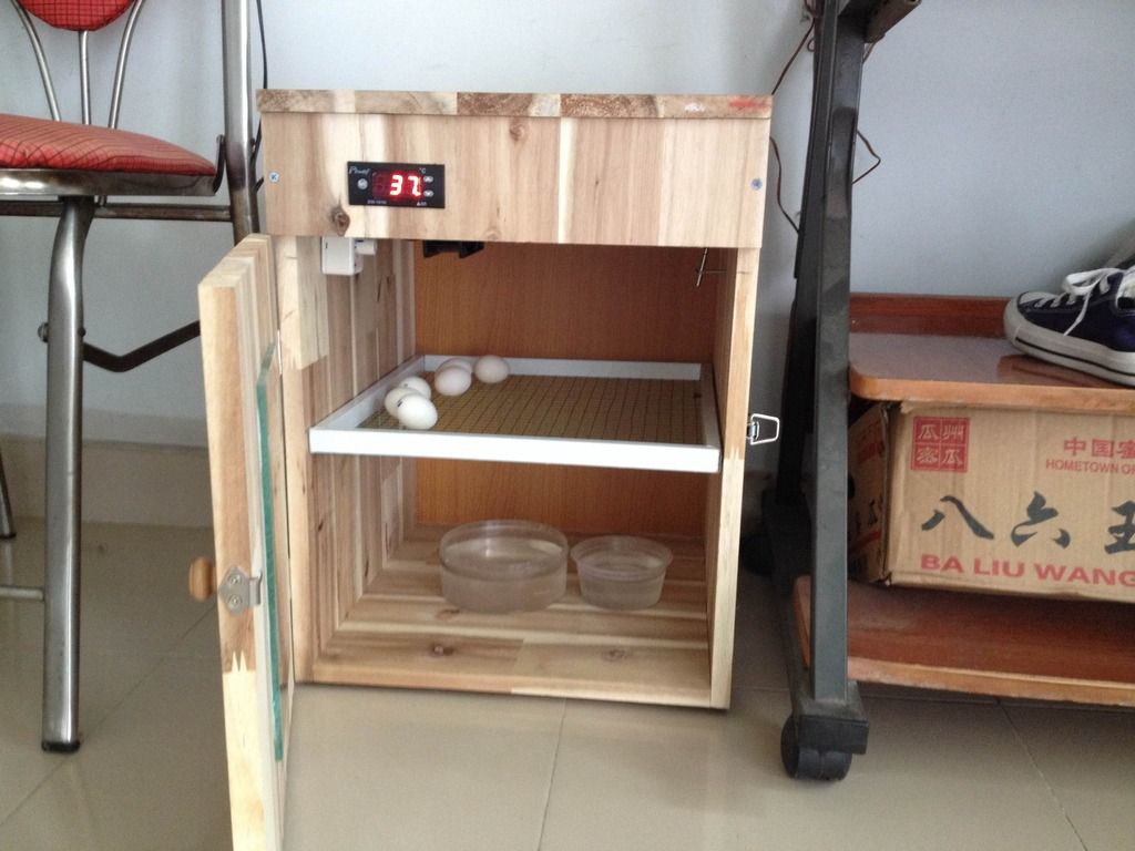 Bình Thạnh - Bán Máy Ấp Trứng ( 30 trứng ) - 1