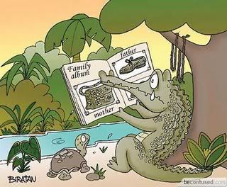 Crocodilecartoon.jpg