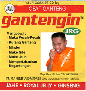 gantengin1.gif