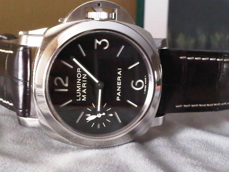 IMG00064-20101121-0906.jpg
