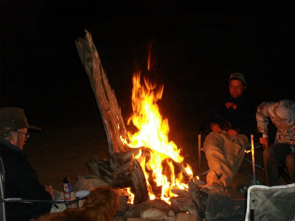 DSC03004.jpg