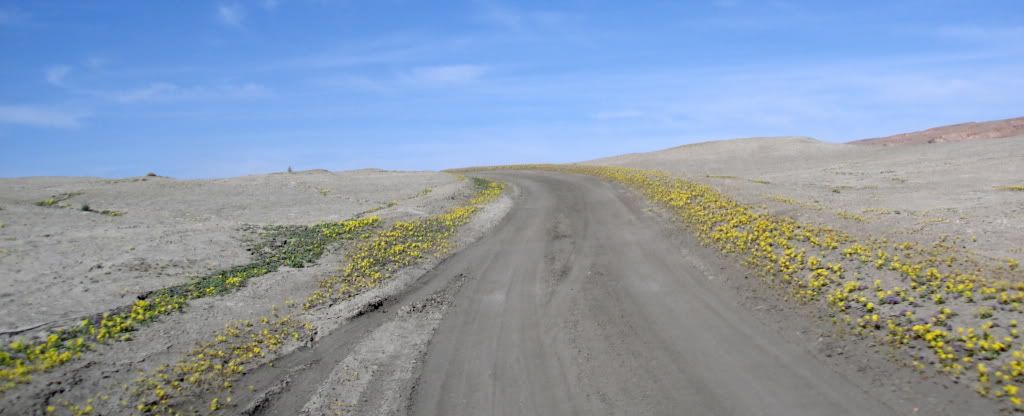 DSC03112-1.jpg