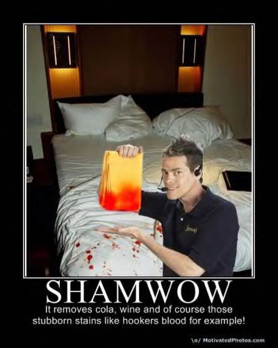 shamwow.jpg