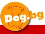 Dog BG - Animal Site