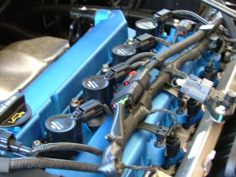 tired of your black valve cover?? Ford Focus Forum, Ford Focus ST