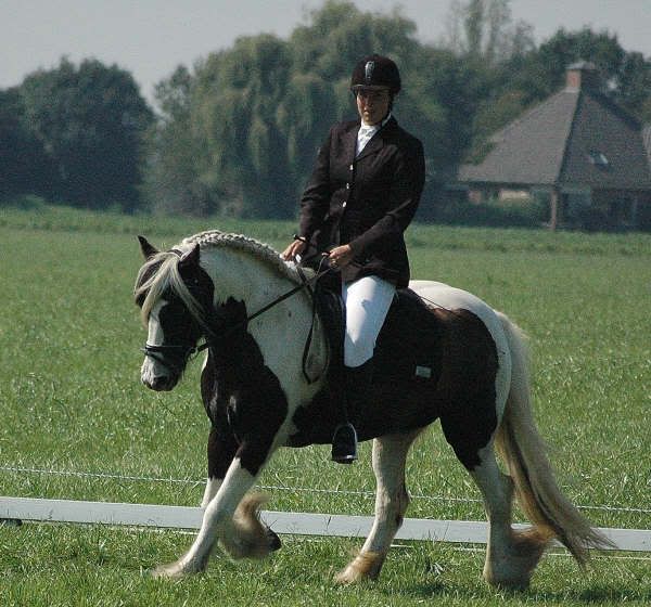 Afbeelding