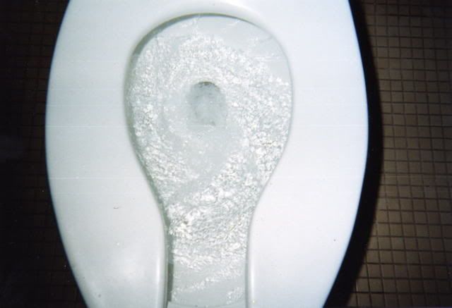 toilet20007.jpg