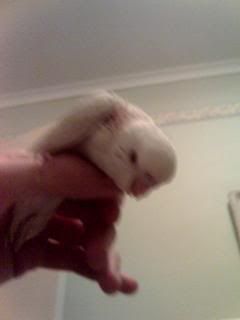 18-12-06_2123.jpg
