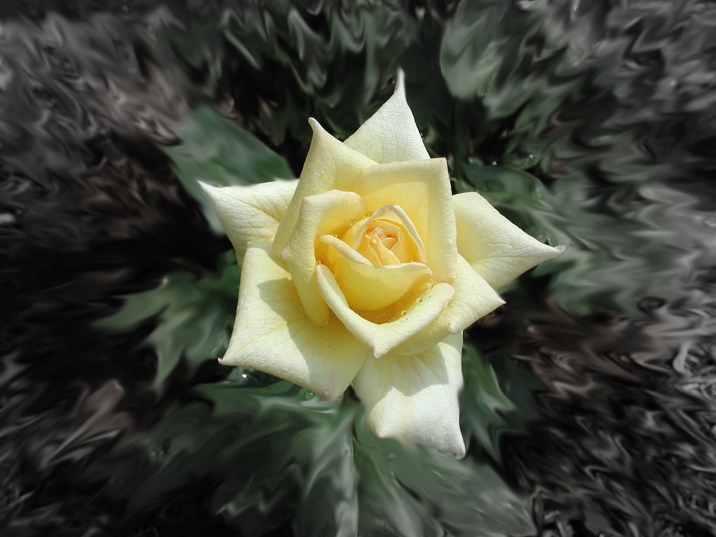 61151956kOhAry fscopy