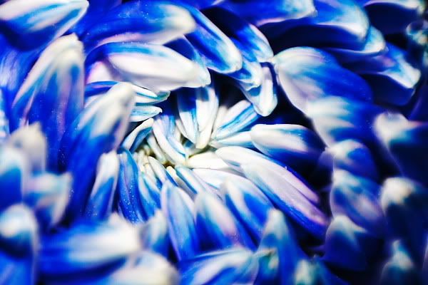 IMAGE: http://i96.photobucket.com/albums/l192/idkhalid/IMG_0272web.jpg