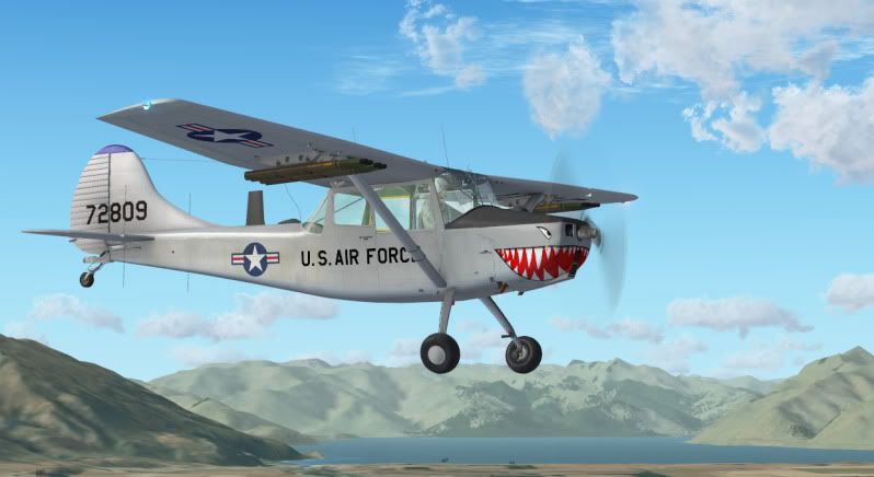 fsx2010-01-1122-28-06-33.jpg