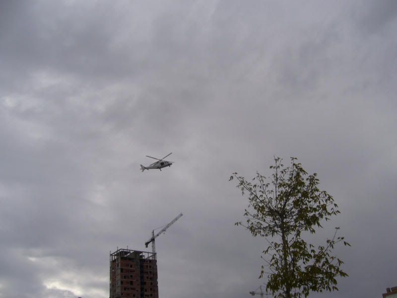P1080141.jpg